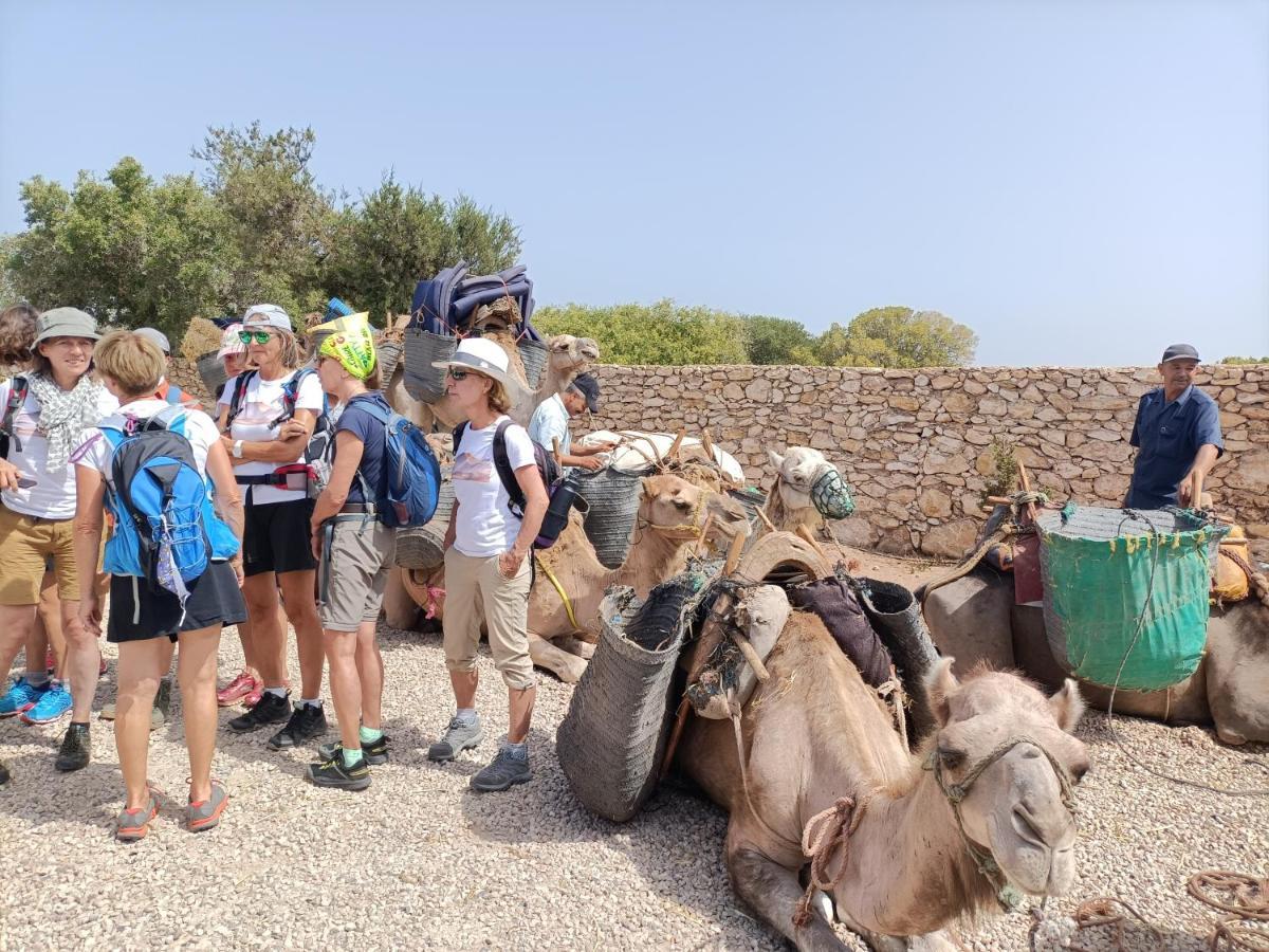Penzion Dar Albatros Sidi Kaouki Exteriér fotografie