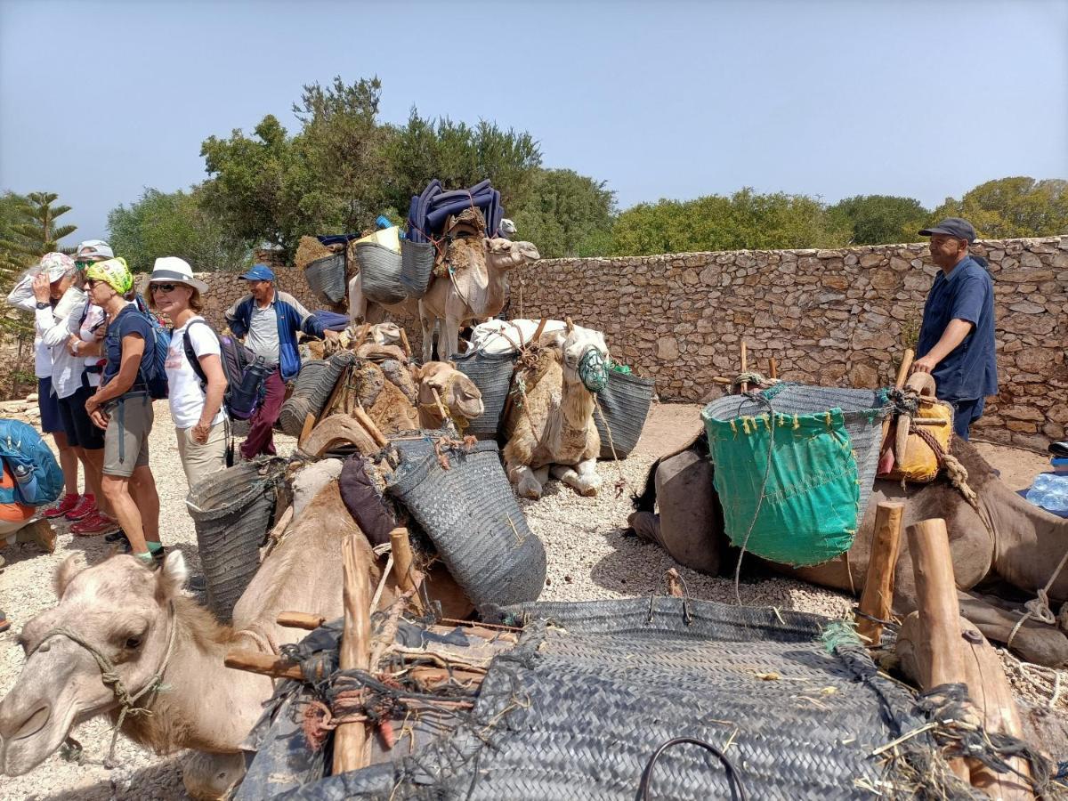 Penzion Dar Albatros Sidi Kaouki Exteriér fotografie