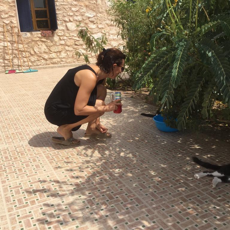 Penzion Dar Albatros Sidi Kaouki Exteriér fotografie