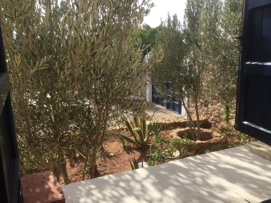 Penzion Dar Albatros Sidi Kaouki Exteriér fotografie